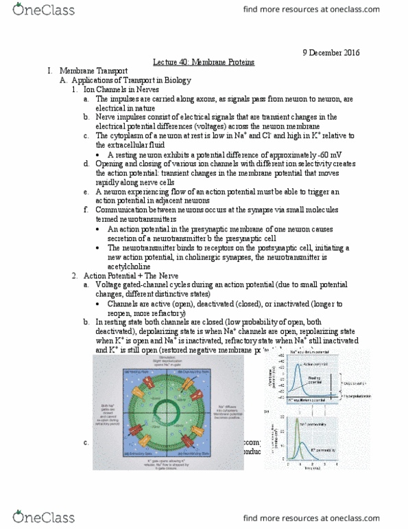 L07 Chem 481 Lecture Notes - Lecture 40: Phosphodiester Bond, Inositol, Hydrophile thumbnail