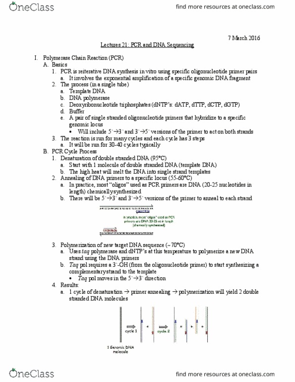 Biology And Biomedical Sciences BIOL 2960 Lecture Notes - Lecture 21: Polyacrylamide Gel Electrophoresis, Chain Termination, Dna Profiling thumbnail