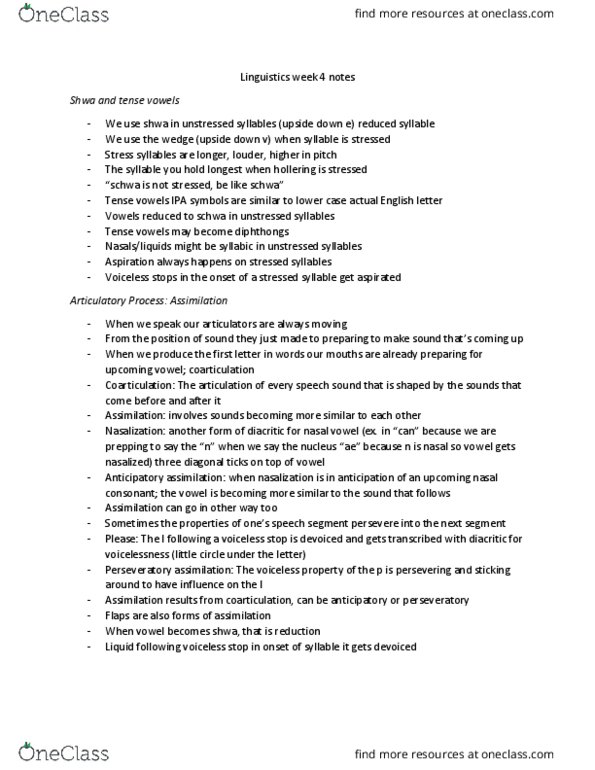 LINGUIST 1A03 Lecture Notes - Lecture 7: Nasal Vowel, Epenthesis thumbnail