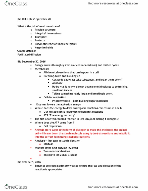 BIO 100 Lecture Notes - Lecture 2: Glycogen, Facilitated Diffusion, Endergonic Reaction thumbnail