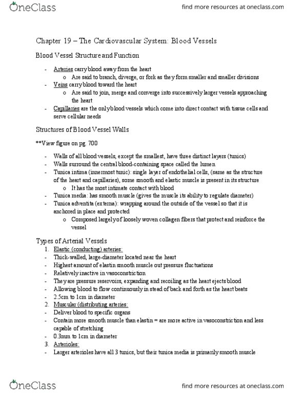 ANP 1105 Chapter Notes - Chapter 19: Tunica Intima, Tunica Externa, Blood Vessel thumbnail