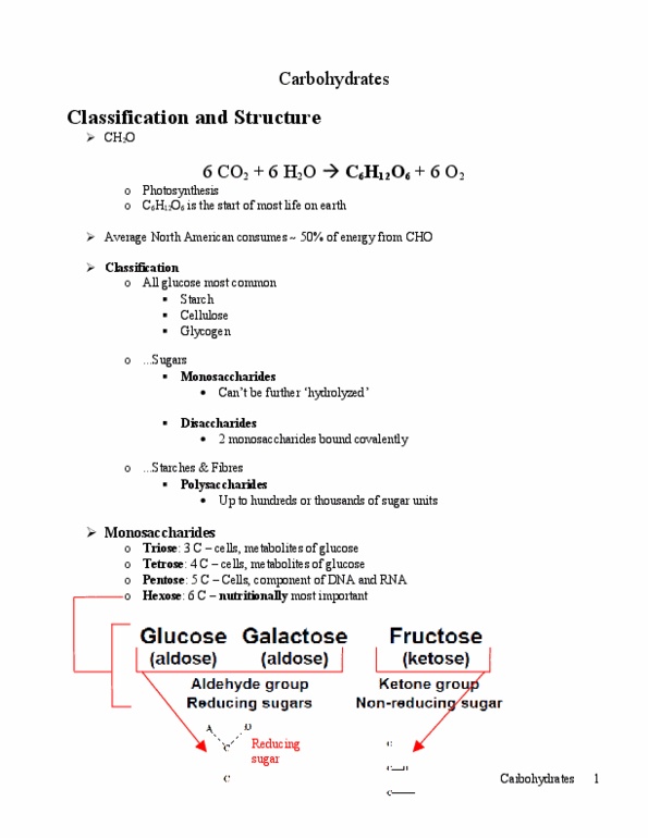 ANSC 3120 Lecture Notes - Oxaloacetic Acid, Mammary Gland, Malic Acid thumbnail