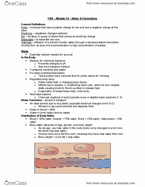 FNN 100 Lecture Notes - Lecture 13: Extracellular Fluid, Synovial Fluid, Semipermeable Membrane thumbnail