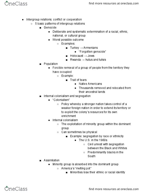 SYG 2000 Chapter Notes - Chapter 8: Minority Group, Cultural Assimilation thumbnail