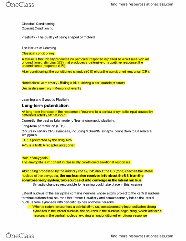 01:830:313 Lecture Notes - Lecture 41: Nmda Receptor Antagonist, Excitatory Postsynaptic Potential, Medial Geniculate Nucleus thumbnail