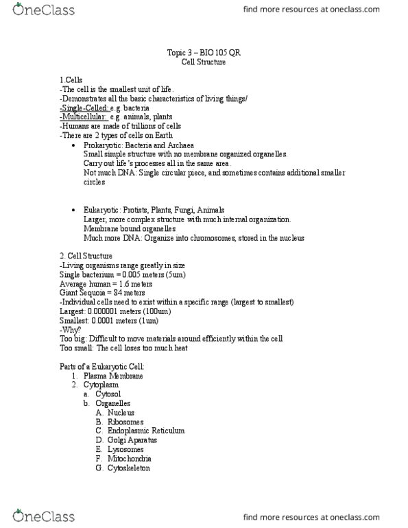 BIO 105QR Lecture Notes - Lecture 3: Endoplasmic Reticulum, Cell Membrane, Lipid Bilayer thumbnail