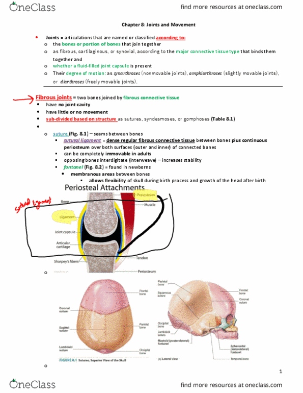 BLG 700 Chapter Notes - Chapter 8: Shoulder Joint, Gout, Silastic thumbnail