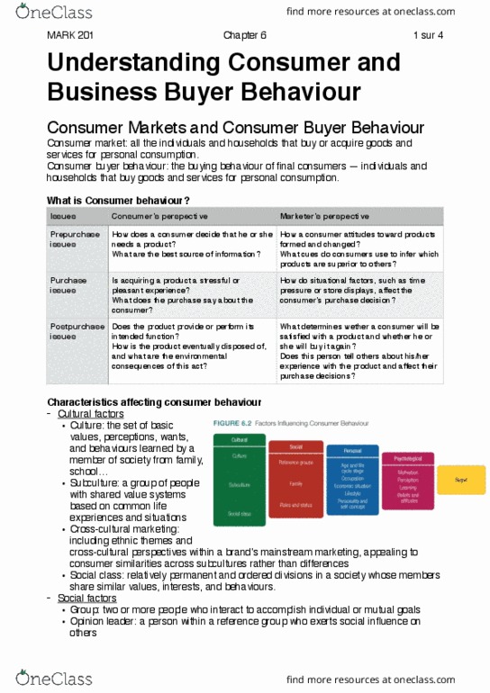 MARK 201 Chapter Notes - Chapter 6: Consumer Behaviour, Opinion Leadership, Reference Group thumbnail
