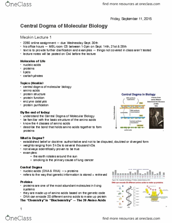 Biochemistry 2280A Lecture Notes - Lecture 1: Hydrophile, Central Dogma Of Molecular Biology, Enzyme Catalysis thumbnail