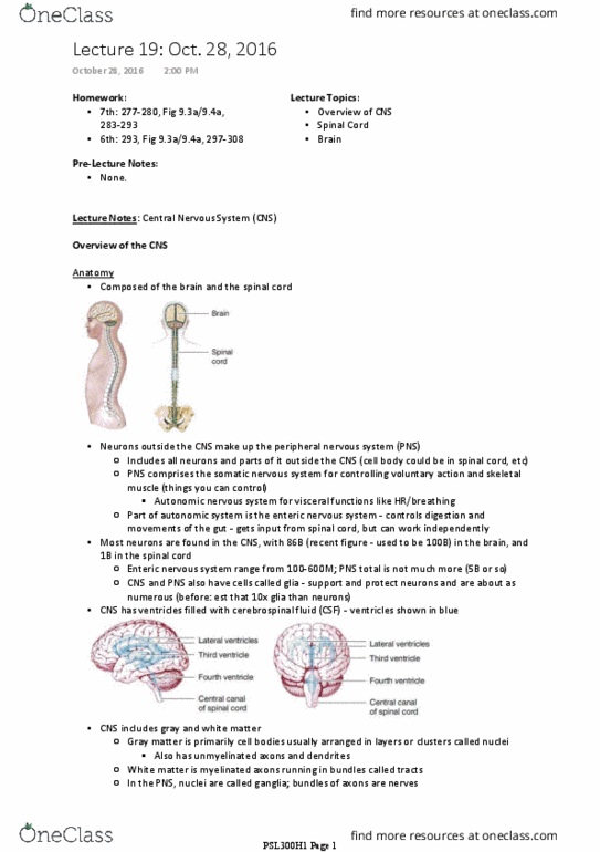PSL300H1 Lecture Notes - Lecture 19: Central Nervous System, Dorsal Root Ganglion, Enteric Nervous System thumbnail