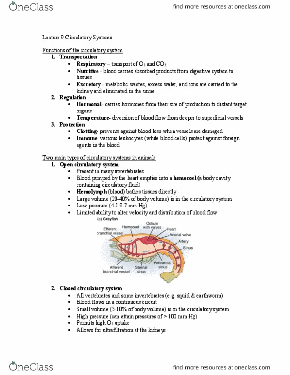 NATS 4210 Lecture Notes - Lecture 9: Packed Red Blood Cells, Blood Doping, Heart Valve thumbnail