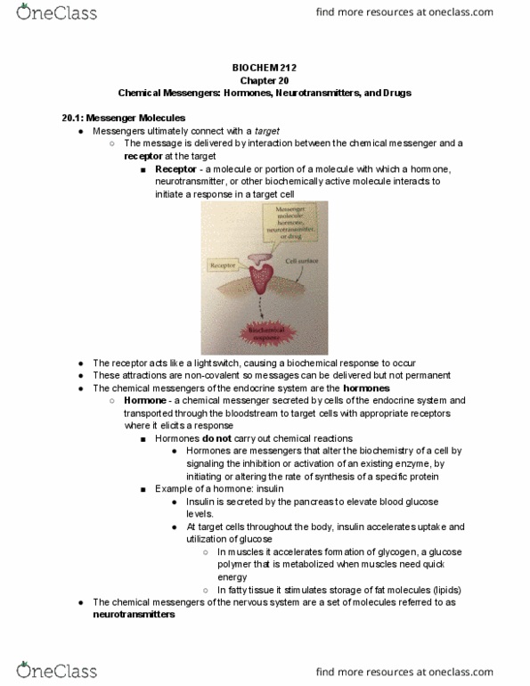 BIOLCHEM 212 Chapter Notes - Chapter 20: Posterior Pituitary, Cyclic Adenosine Monophosphate, Adrenal Gland thumbnail