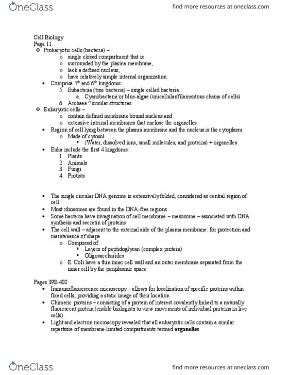 Biology 2382B Chapter Notes - Chapter pg. 11: Periplasm, Isoleucine, Mesosome thumbnail