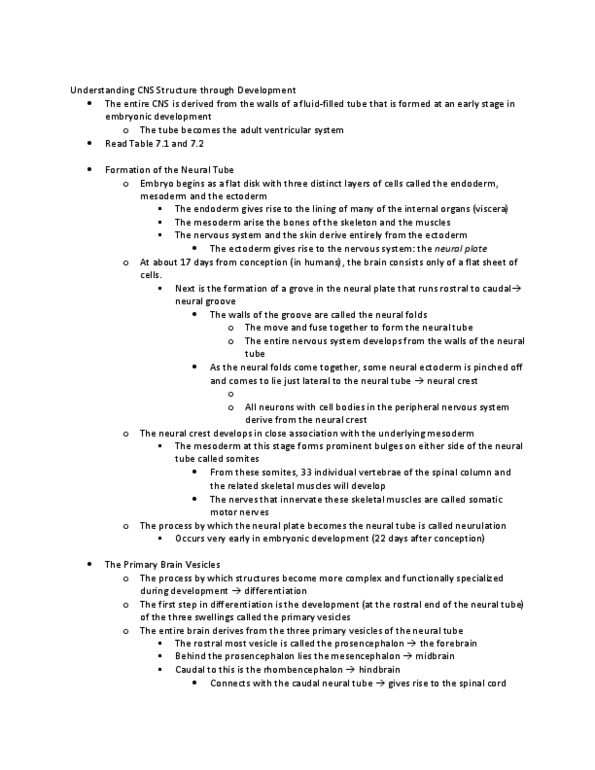 PSY 2116 Lecture Notes - Critical Role, Anterior Grey Column, Pia Mater thumbnail