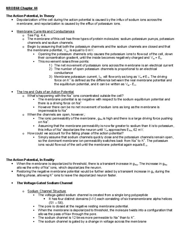 PSY 2116 Chapter Notes - Chapter 44: Myelin, Antidromic, Oligodendrocyte thumbnail