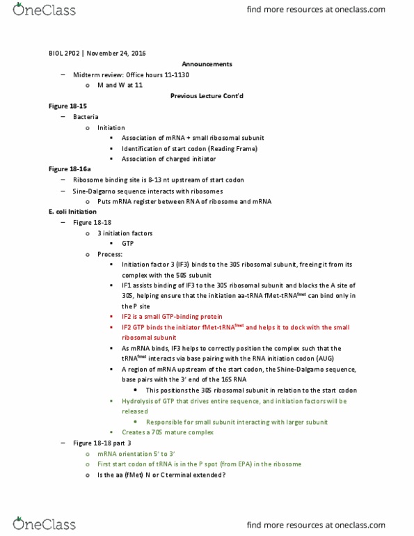 BIOL 2P02 Lecture Notes - Lecture 30: Prokaryotic Small Ribosomal Subunit, Ribosome-Binding Site, Kozak Consensus Sequence thumbnail