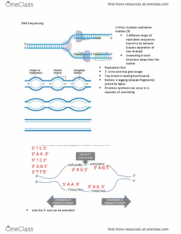 MCB 2400 Lecture Notes - Lecture 3: Polymerase Chain Reaction, Dna Sequencing, Okazaki Fragments thumbnail