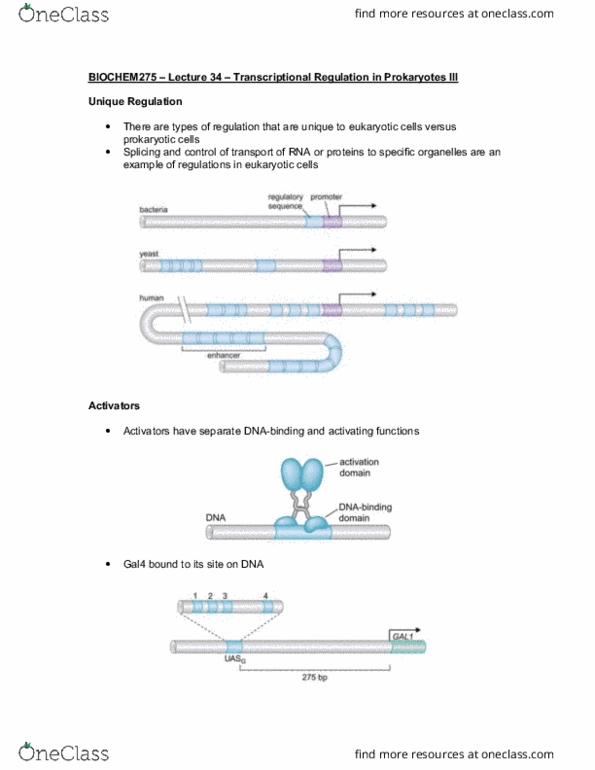 BIOCHEM 275 Lecture Notes - Lecture 34: Dna Binding Site, Repressor Lexa, Lac Operon thumbnail