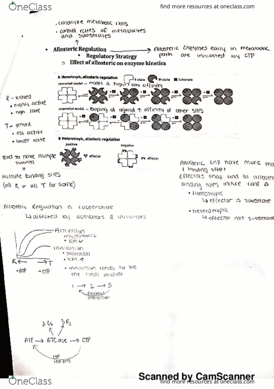 BCHM 403 Lecture 39: Bchem personal study guide-3 thumbnail