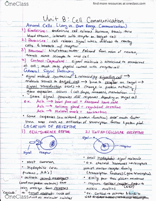 Pass4sure C1000-130 Exam Prep