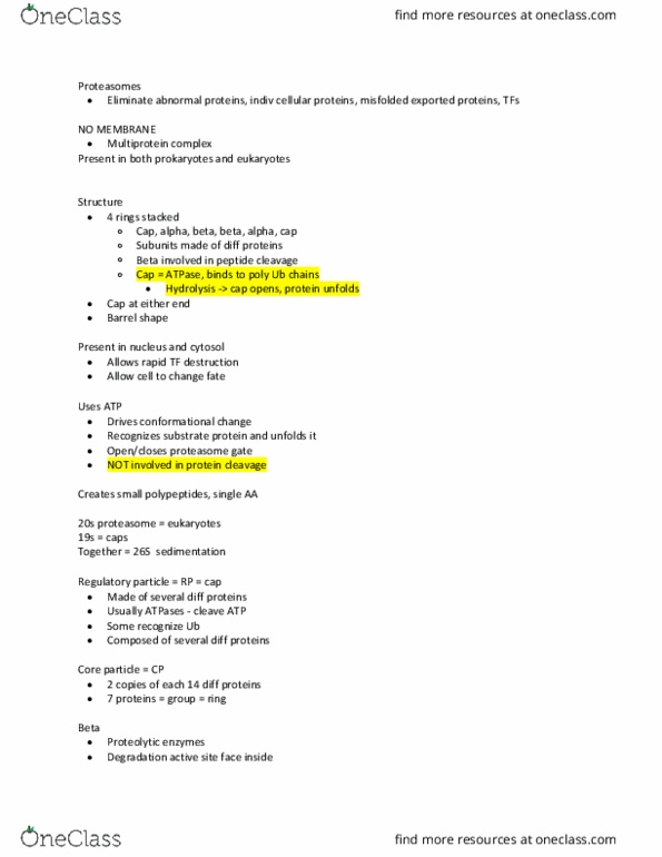 MCD BIO 165A Lecture Notes - Lecture 15: Protein Folding, Proteasome, Multiprotein Complex thumbnail