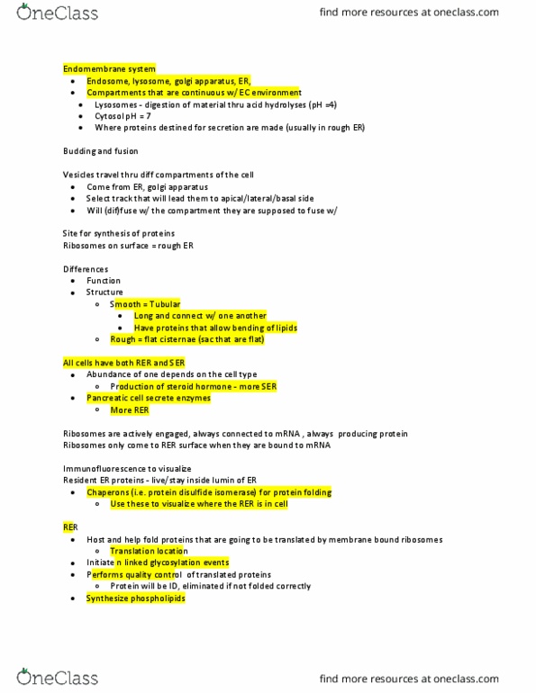 MCD BIO 165A Lecture Notes - Lecture 10: Protein Disulfide-Isomerase, Endomembrane System, Protein Folding thumbnail