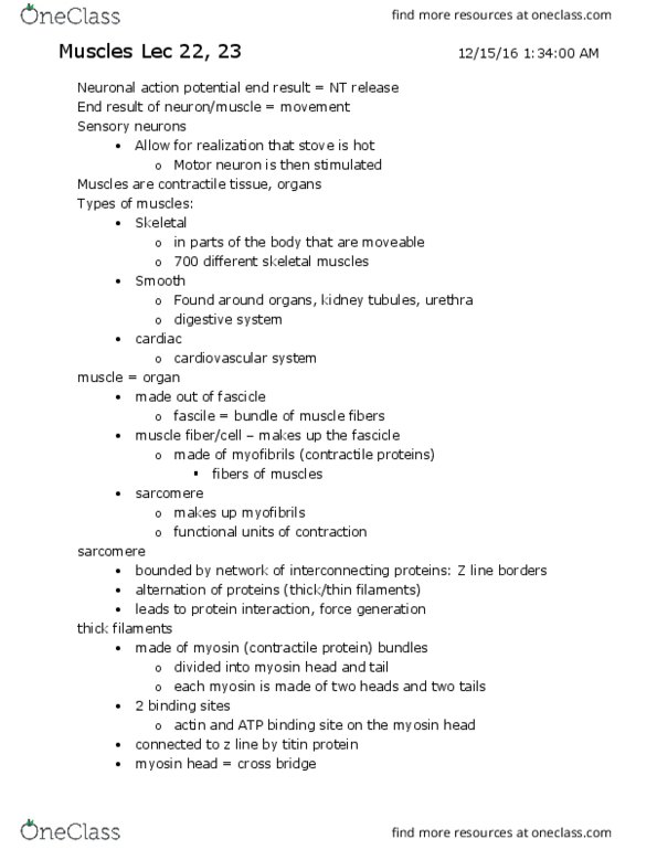 LIFESCI 2 Lecture Notes - Lecture 22: Nephron, Titin, Myofibril thumbnail