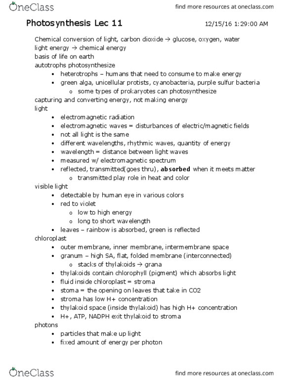 LIFESCI 2 Lecture Notes - Lecture 11: Purple Sulfur Bacteria, Photosystem I, Electromagnetic Spectrum thumbnail