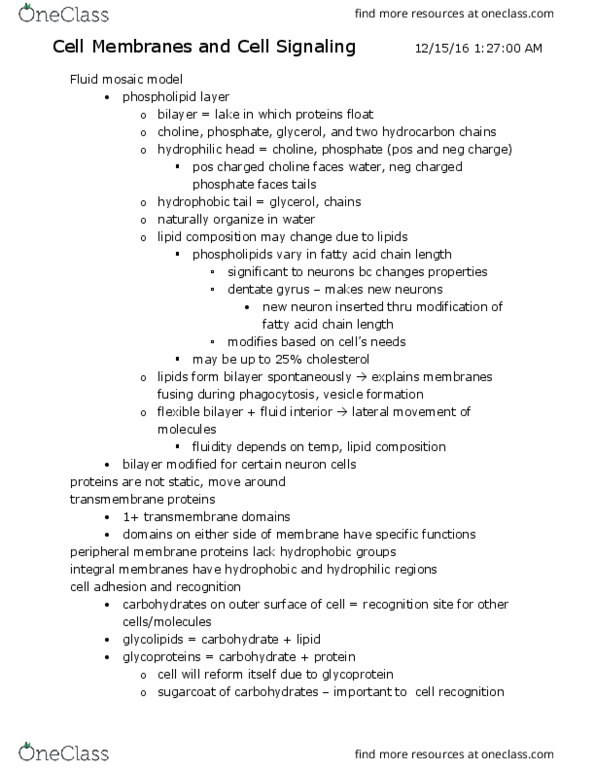 LIFESCI 2 Lecture Notes - Lecture 7: Dentate Gyrus, Fluid Mosaic Model, Lipid Bilayer thumbnail