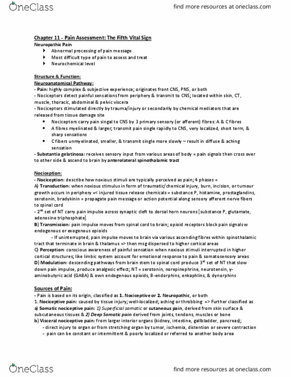 NSG 2317 Chapter Notes - Chapter 11: Allodynia, Visual Analogue Scale, Dementia thumbnail