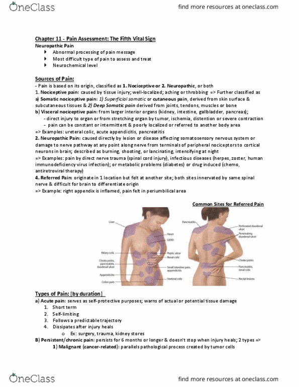 NSG 2317 Lecture Notes - Lecture 5: Peripheral Artery Disease, Palliative Care, Peptic Ulcer thumbnail