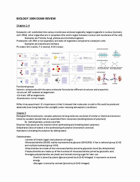 BIOL 1003 Lecture 3: Bio exam review thumbnail