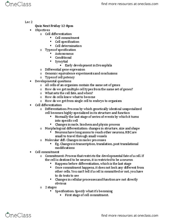 BIOC19H3 Lecture Notes - Lecture 2: Cytoskeleton, Dna Replication, Microtubule thumbnail