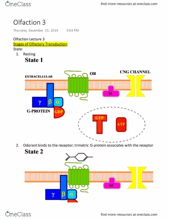 document preview image