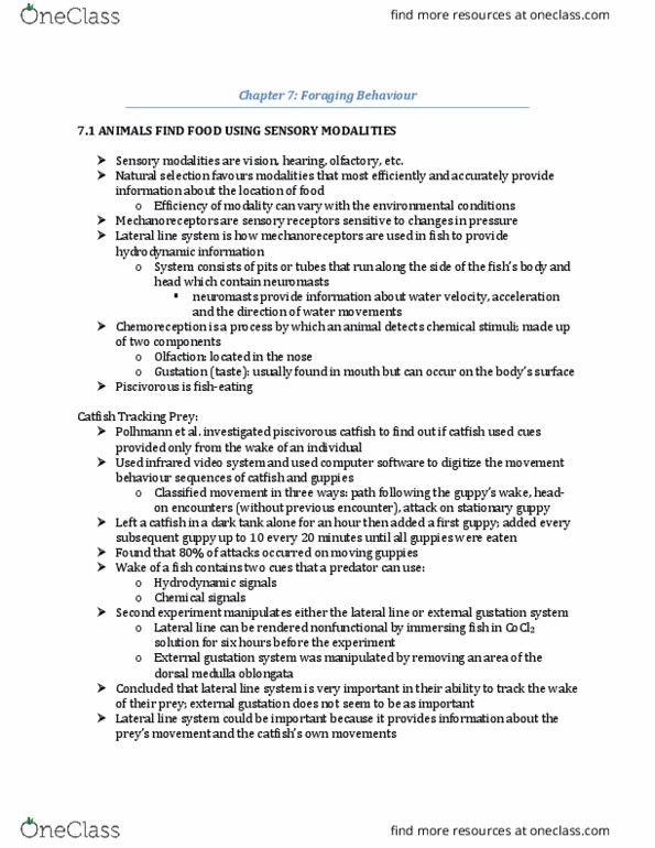 LIFESCI 2D03 Chapter Notes - Chapter 7: Optimal Foraging Theory, Joel Brown, Reinforcement thumbnail