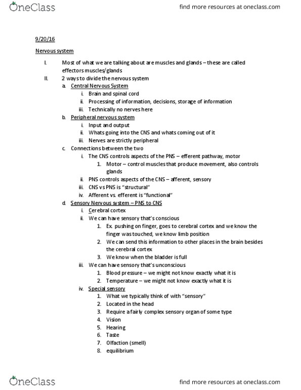 BCMB 230 Lecture Notes - Lecture 23: Peripheral Nervous System, Cerebral Cortex, Skeletal Muscle thumbnail