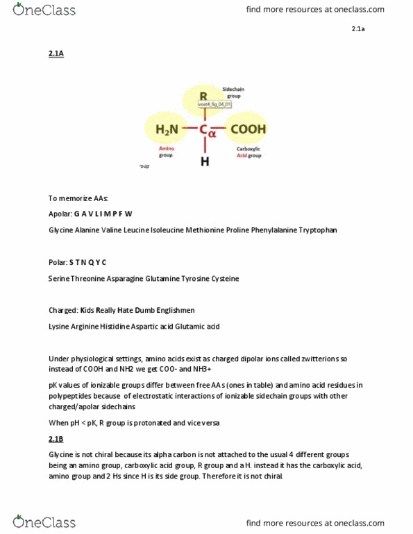 BMB 401 Lecture Notes - Lecture 1: Methyl Group, Stereoisomerism, Acetyl Group thumbnail