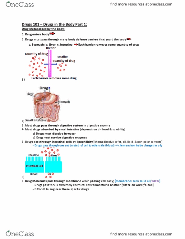 BPS 1101 Lecture Notes - Lecture 1: Diphenhydramine, Chlorphenamine, Insulin thumbnail