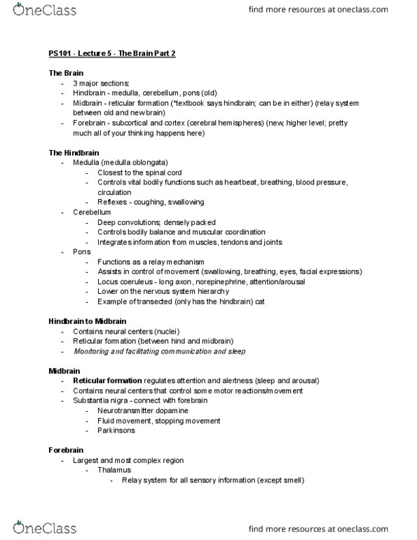 PS101 Lecture Notes - Lecture 5: Limbic System, Auditory Cortex, Frontal Lobe thumbnail