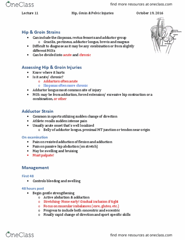 Kinesiology 3336A/B Lecture Notes - Lecture 11: Spermatic Cord, Straddle, Ice Pack thumbnail