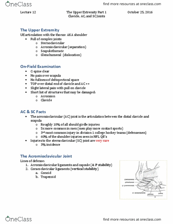 Kinesiology 3336A/B Lecture Notes - Lecture 12: Pneumothorax, Articular Disk, Trachea thumbnail