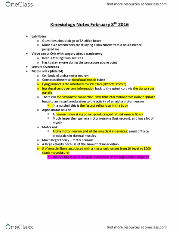 Kinesiology 1080A/B Lecture Notes - Lecture 20: Motor Neuron, Skeleton, Extrafusal Muscle Fiber thumbnail