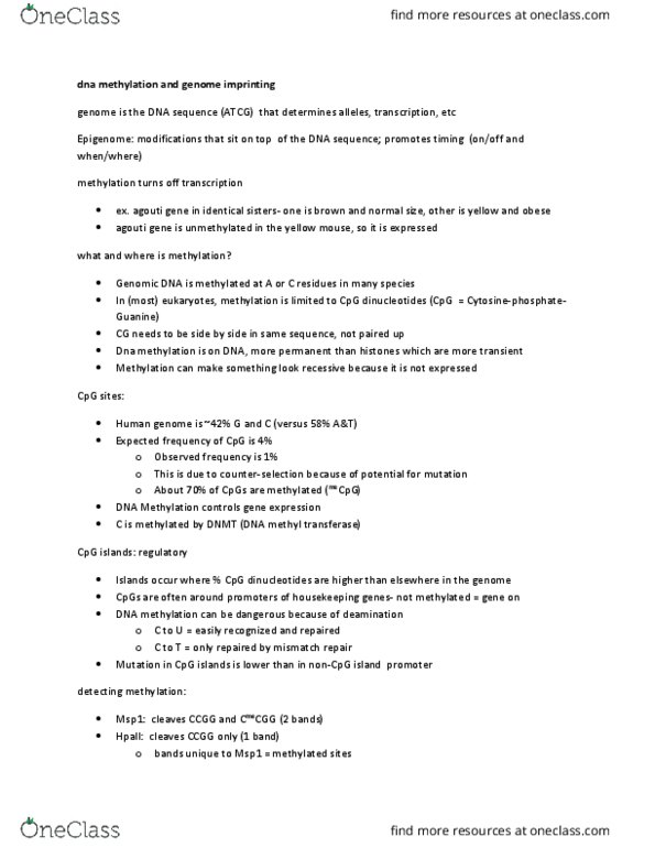 BMS 607 Lecture Notes - Lecture 10: Dna Replication, Chromatin, Histone Deacetylase thumbnail