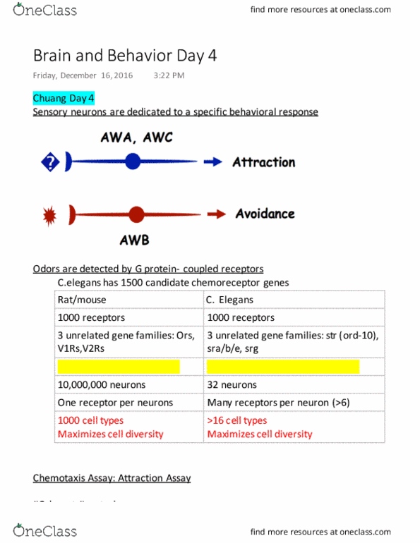 document preview image