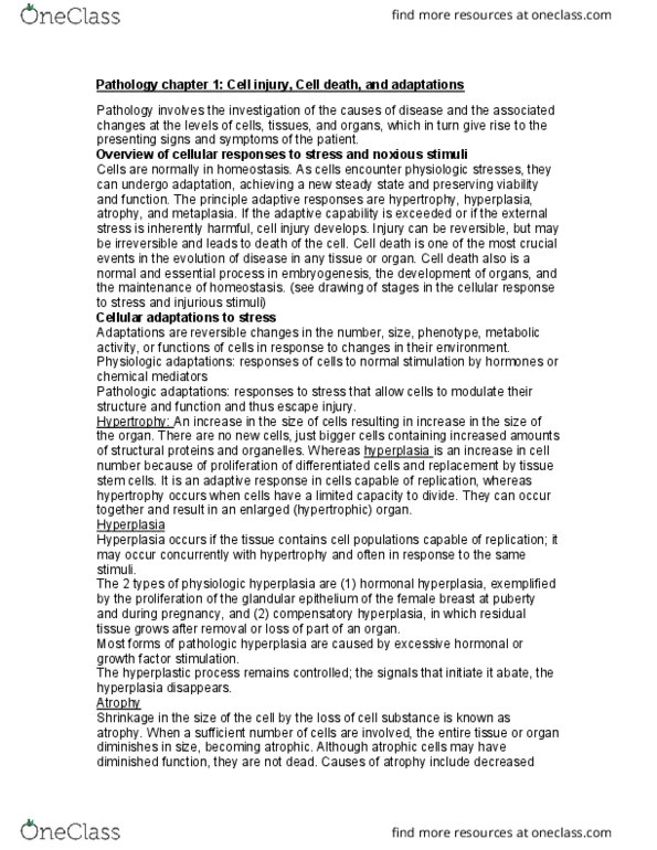 Pathology 2420A Chapter Notes - Chapter 1: Unpaired Electron, Cytotoxic T Cell, Glycogen thumbnail