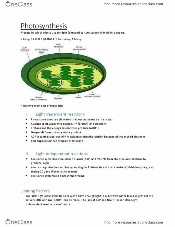 BIO312H5 Chapter Notes - Chapter 4: Pyruvic Acid, Acetyl Group, Glycolysis thumbnail