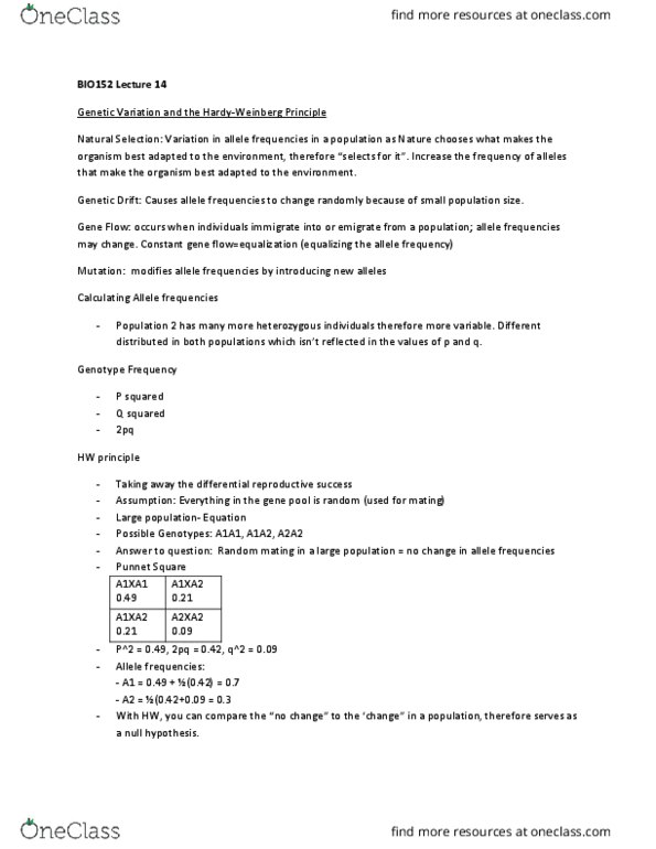 BIO152H5 Lecture Notes - Lecture 14: Panmixia, Null Hypothesis, Allele Frequency thumbnail