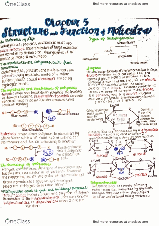 BIOL 171 Chapter Notes - Chapter 5: Rna Interference, Purine, Oxford University Press thumbnail