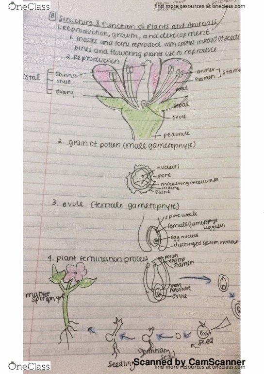 BIOL 1101 Lecture 6: cell reproduction thumbnail