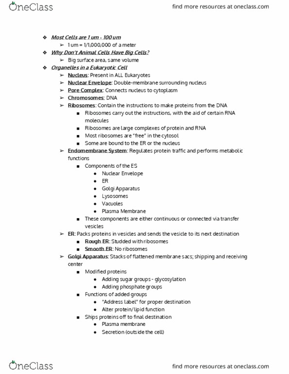 LIFE 102 Lecture Notes - Lecture 4: Golgi Apparatus, Mitochondrial Matrix, Cell Membrane thumbnail